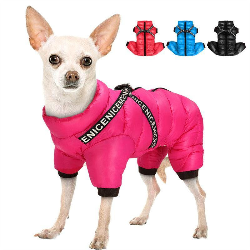 Cozy Winter Pet Apparel: Stylish Clothes for Your Furry Friend