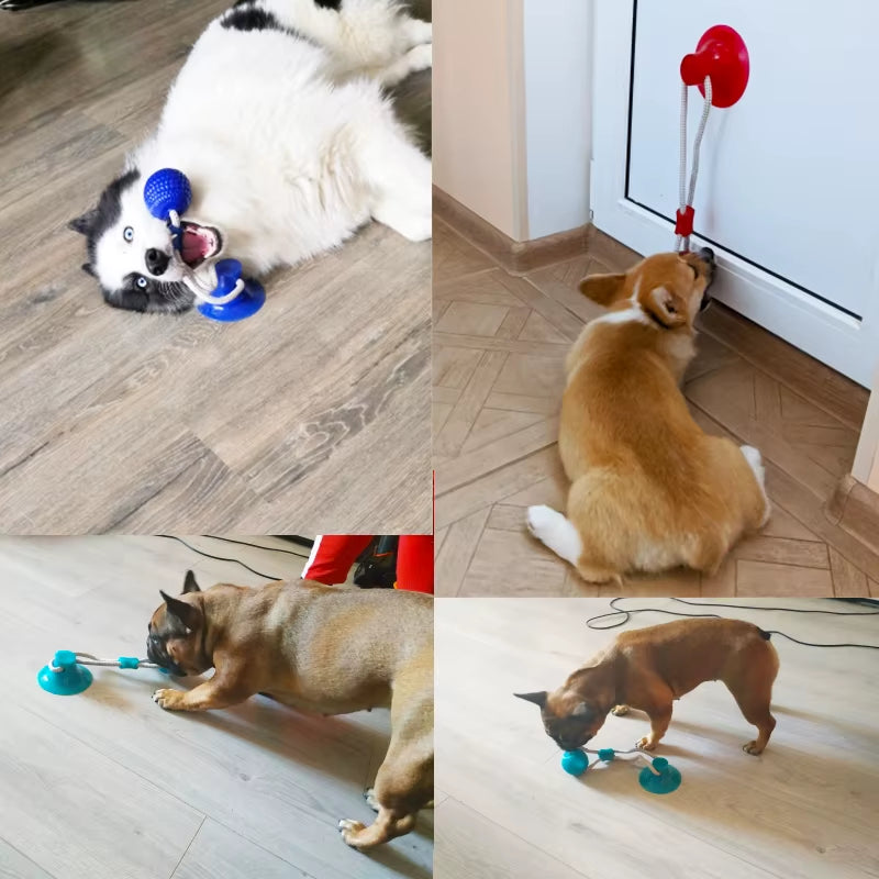 Dog Toys Pet Puppy Interactive Suction Cup Push TPR Ball Toys Molar Bite Toy Elastic Ropes Dog Tooth Cleaning Chewing Supplies